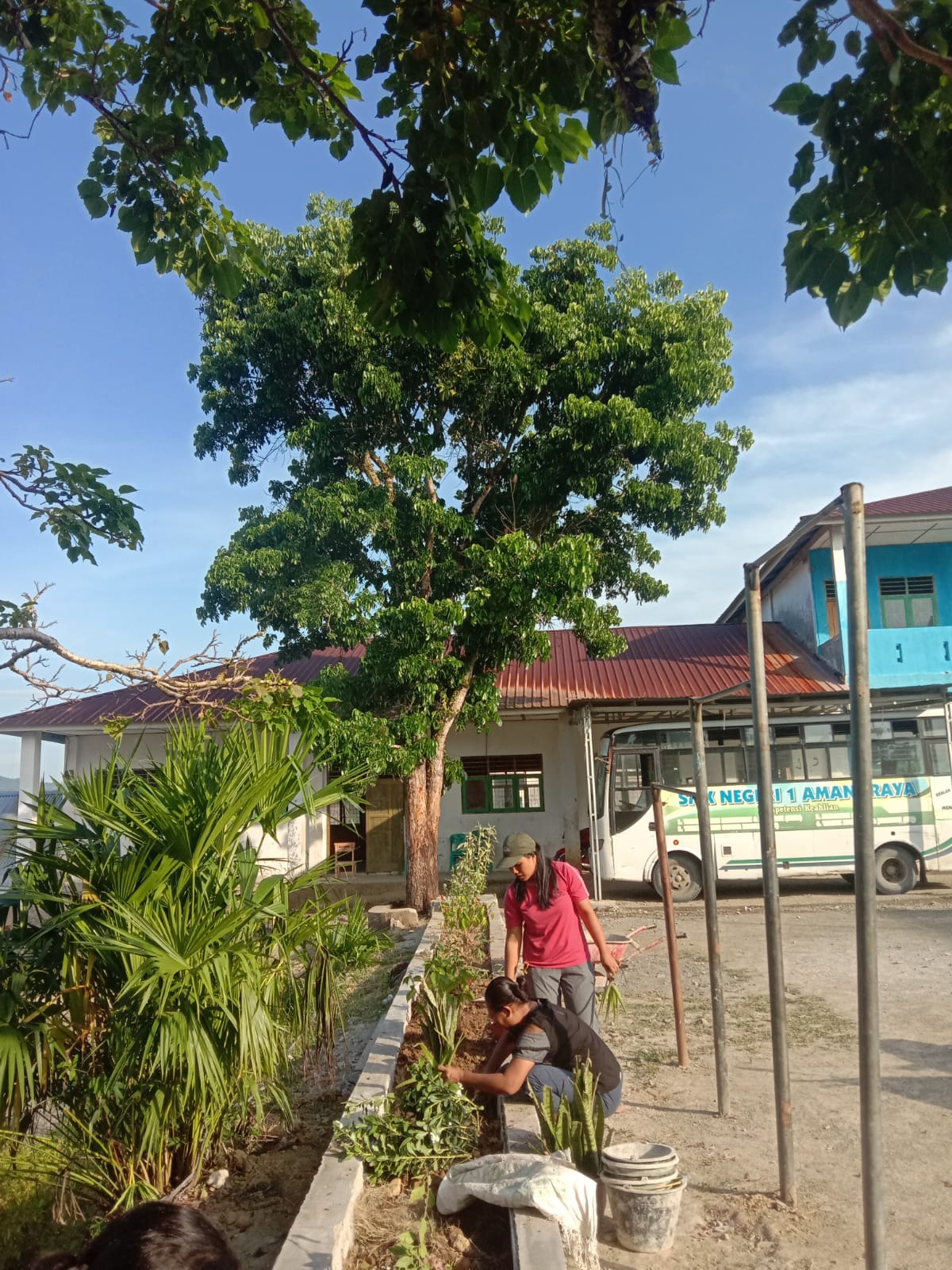 Pembuatan Taman Sekolah Di Lingkungan Smk Negeri 1 Amandraya Smk